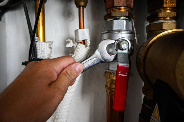 Best Sprinkler Systems  in Port Byron, NY
